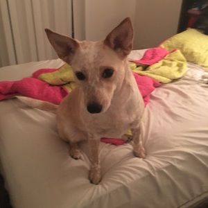 Meet your Posher, Karina